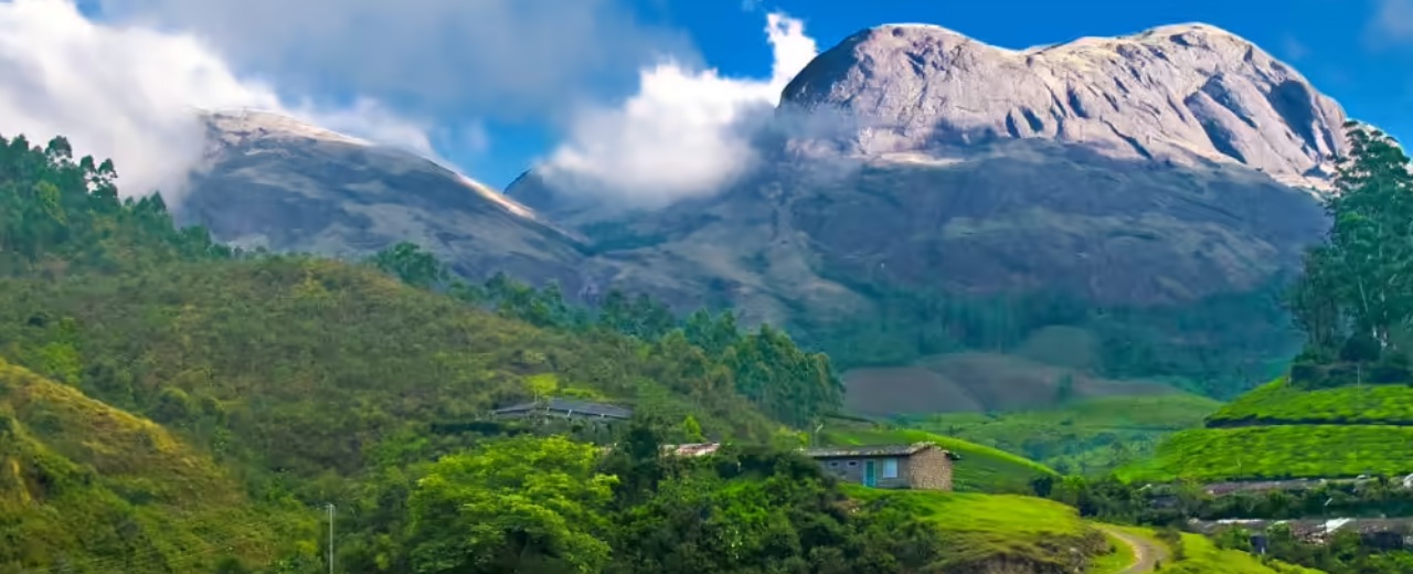Munnar Tour Packages From Madurai With Happy Tours - Happy Tours Blog