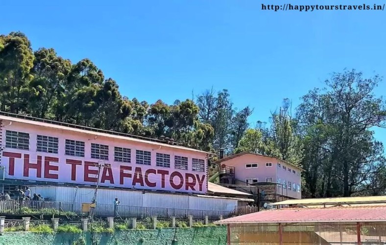 Happy Tours Gallery Image