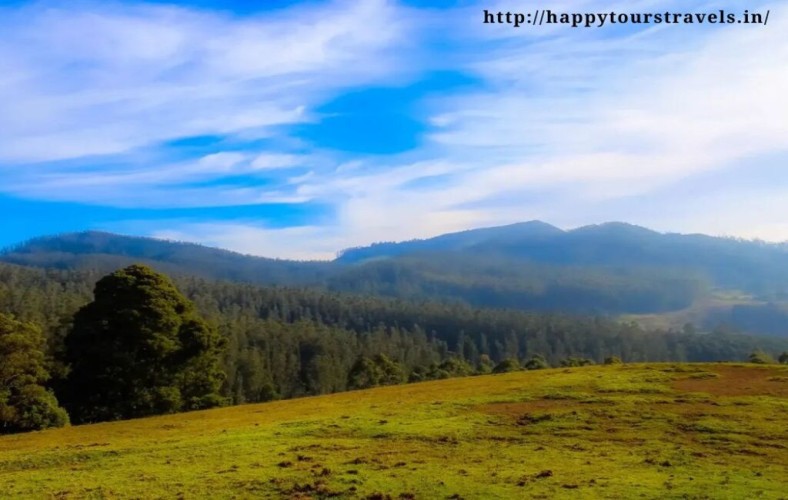 Happy Tours Gallery Image