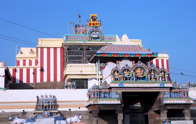 Happy Tours Gallery Image