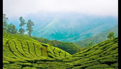 Place-img